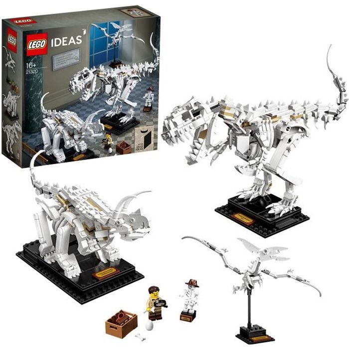 LEGO® Ideas 21320 - Les fossiles de dinosaures