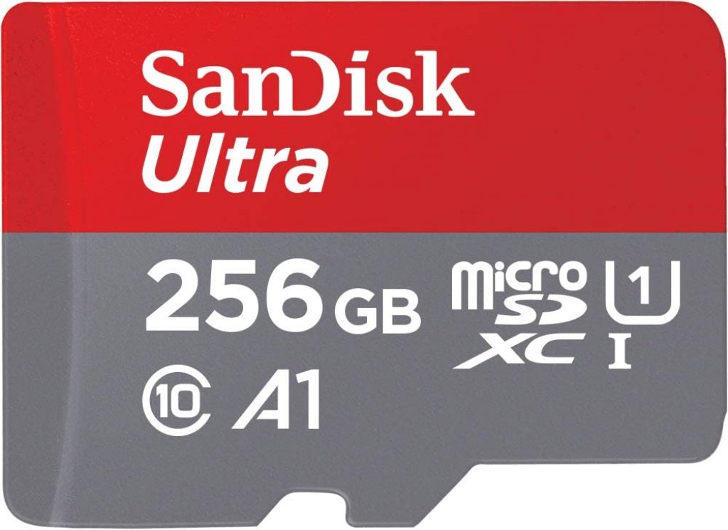 SanDisk Carte Mémoire microSDXC Ultra 256 Go 