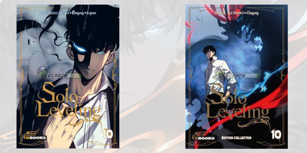 Solo Leveling Tome 10 édition Collector où l