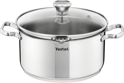Tefal – Faitout 20 cm, Induction, couvercle filtrant en verre, acier inoxydable 18/10