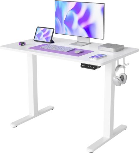 FEZIBO Bureau Assis Debout Électrique, 100 x 60 cm