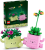 LEGO Botanicals Petites Plantes Dansantes à 11,99€