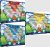 Où commander les coffrets Pokémon Go Collection Spéciale « Equipes » ?
